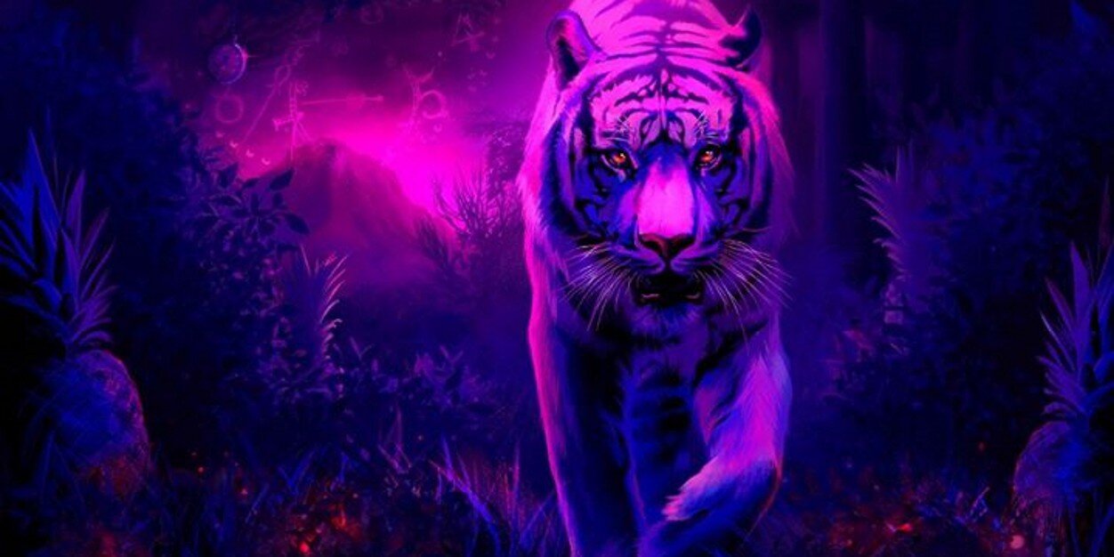 chwitnes's profile banner image