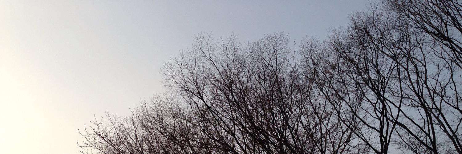 cmpo305's profile banner image