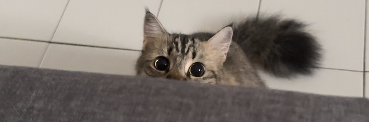 hizzaaaa's profile banner image