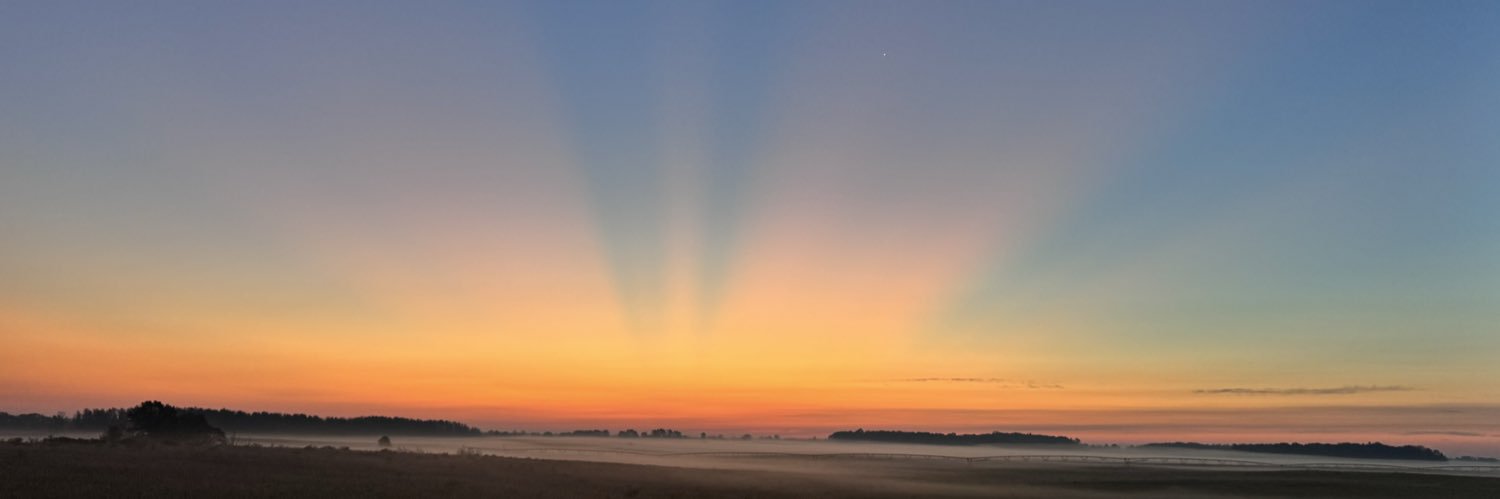 Andrew Grieve banner