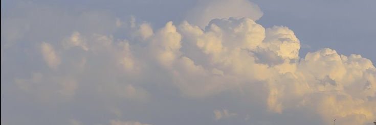 ___Wilda's profile banner image