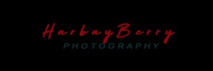 HarbayBerry's profile banner image