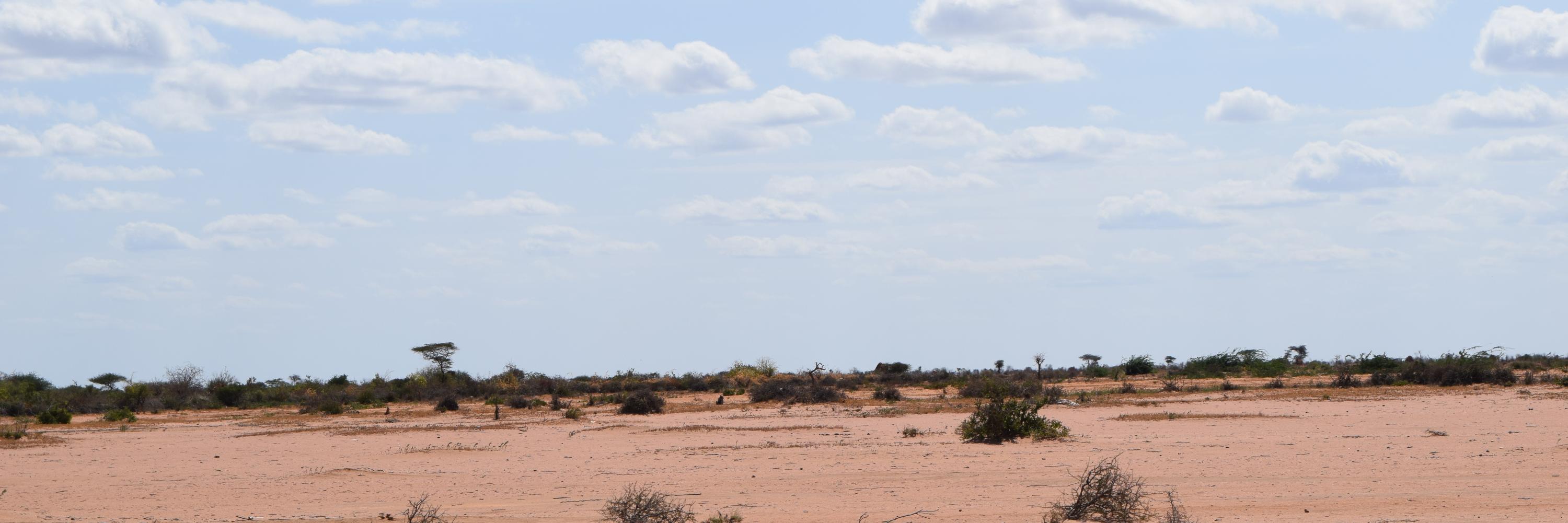 Daniel Wesangula banner