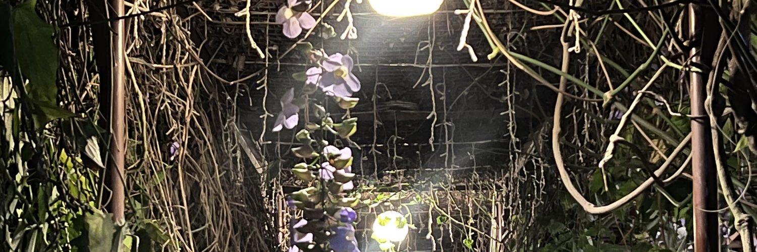GirlToxicAF's profile banner image