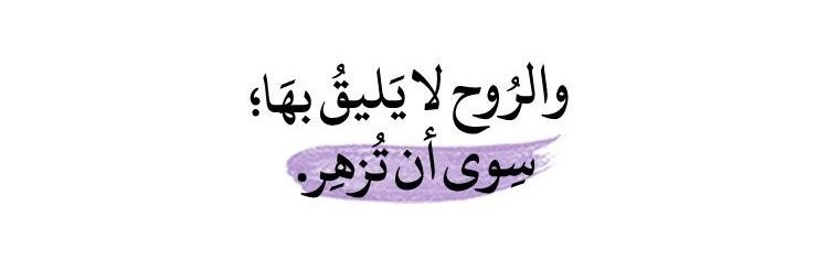 asmaaa_84's profile banner image