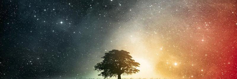 Mark_Plex's profile banner image