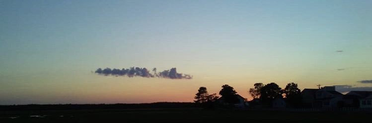 Paqwetti's profile banner image