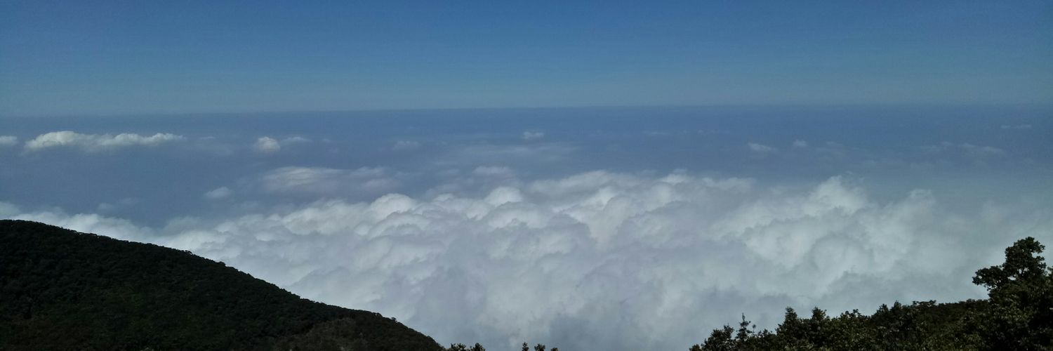 Danni_AlH's profile banner image