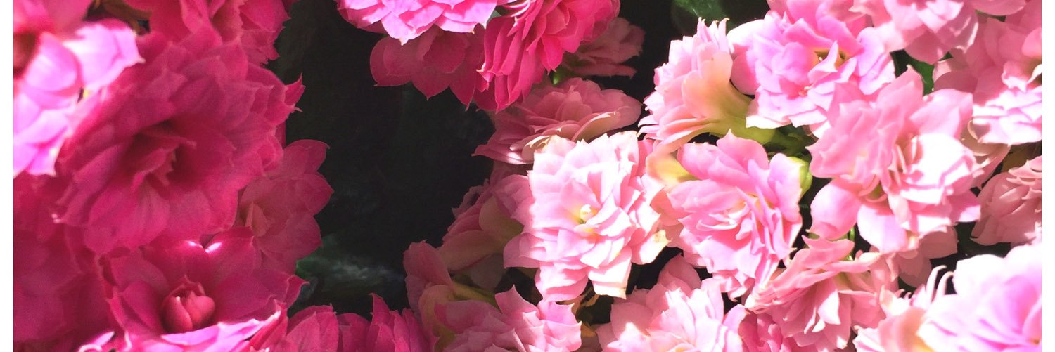 JanelinLook's profile banner image