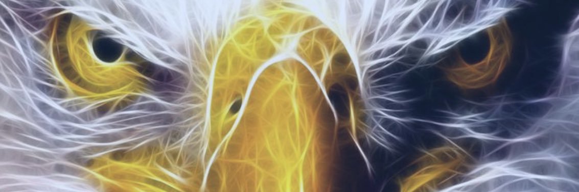 EagleEye2244's profile banner image