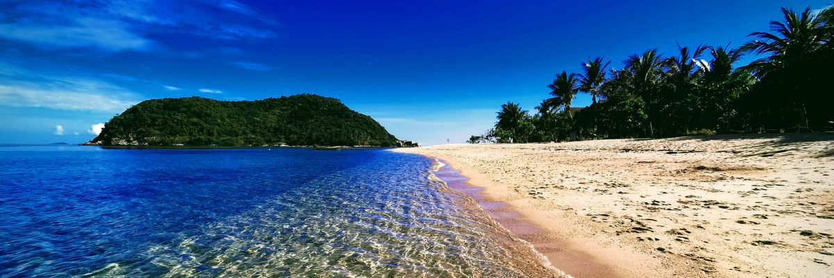 Björn Puls✨ banner