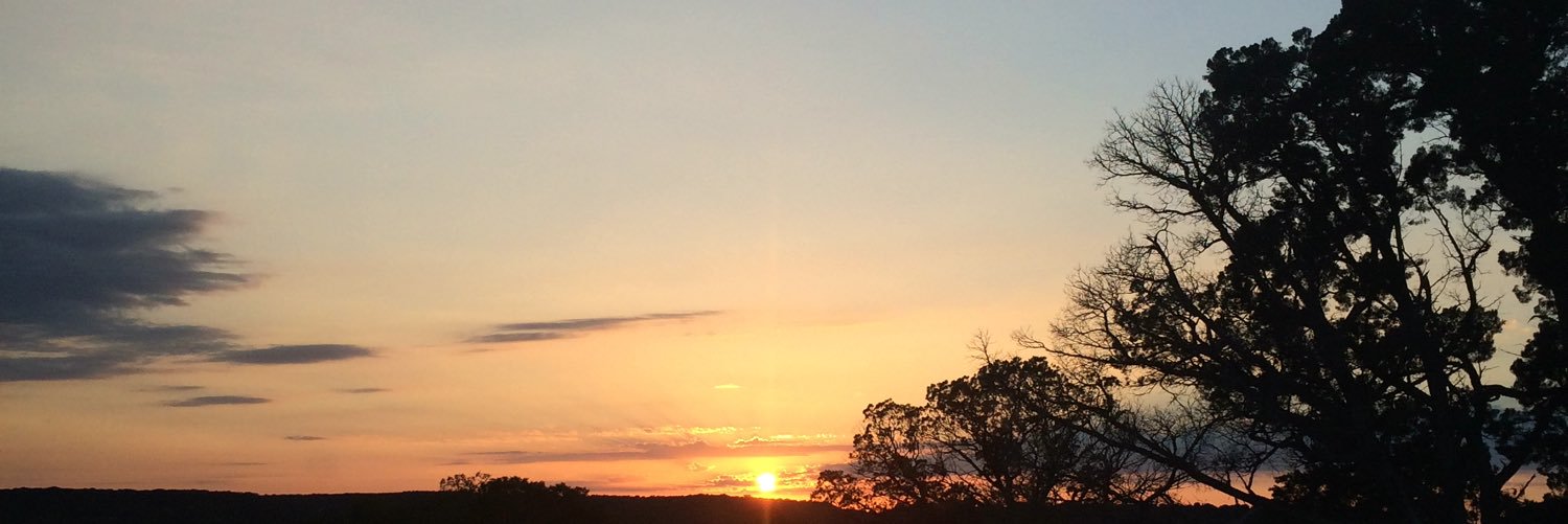 KaylaUpshaw's profile banner image