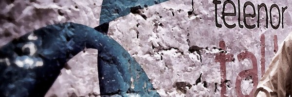 Trym_S Profile Banner