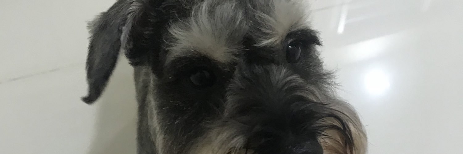eugenetsw's profile banner image