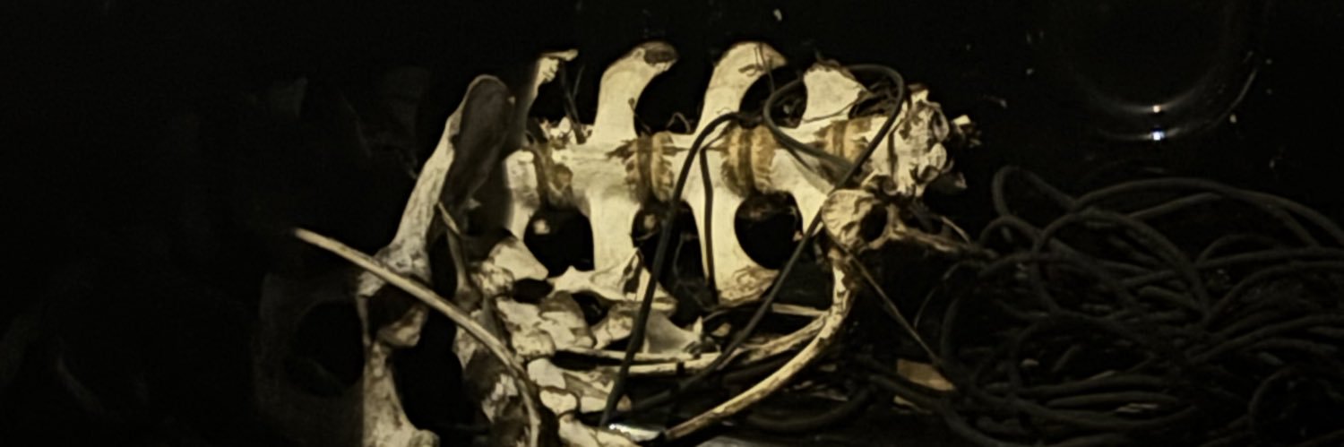 ttxnnaa's profile banner image