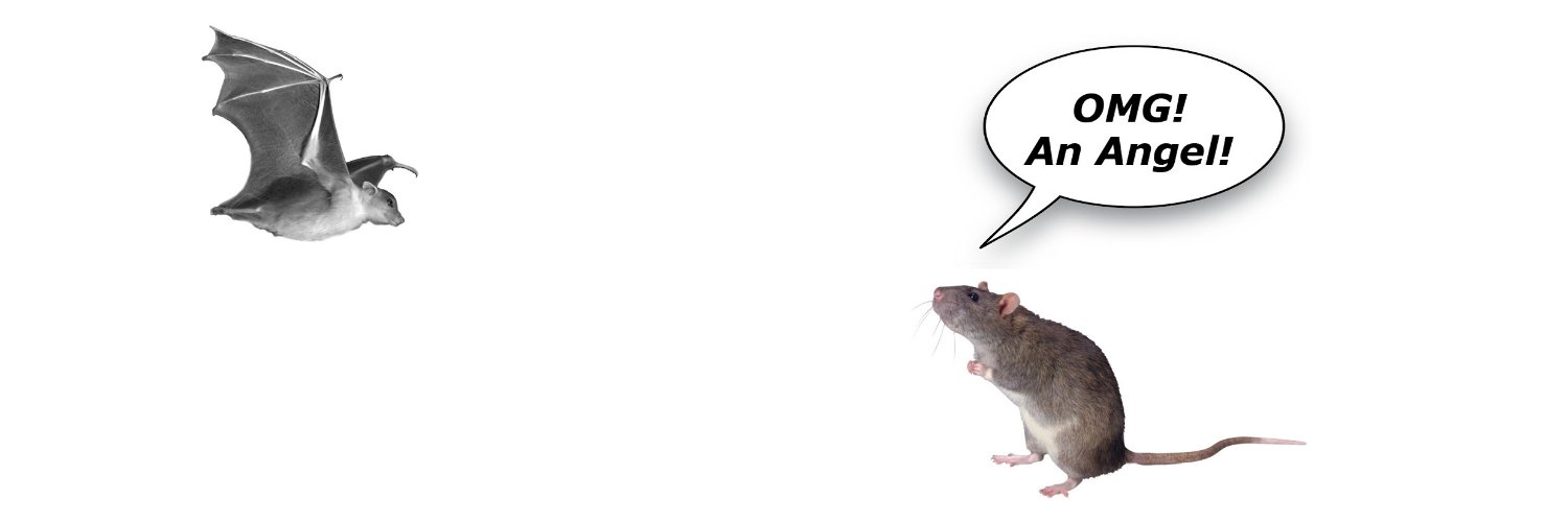 ratinaflat's profile banner image