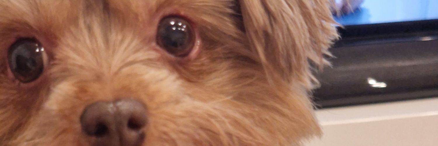 Toxicmusing's profile banner image