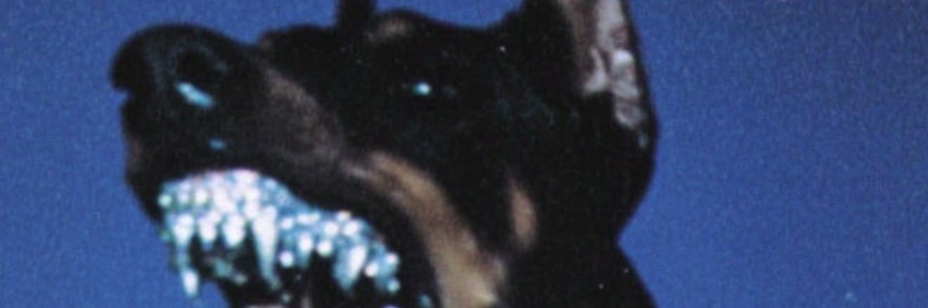 SWIV__'s profile banner image