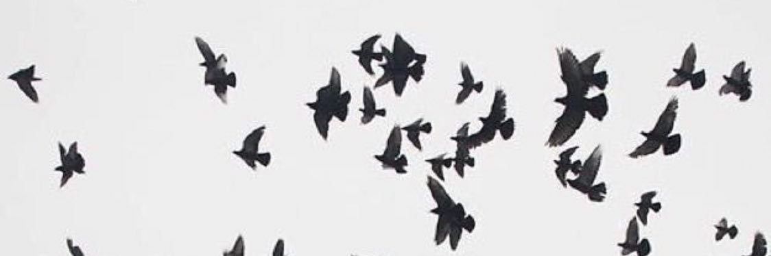 ftoom22's profile banner image