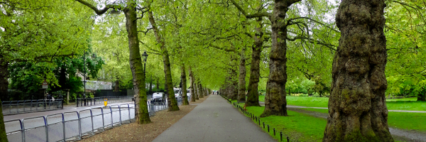 zb_armstrong Profile Banner