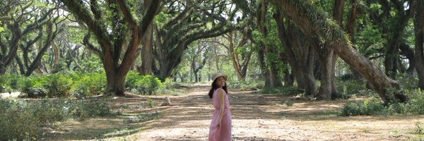 Lenny_diary Profile Banner