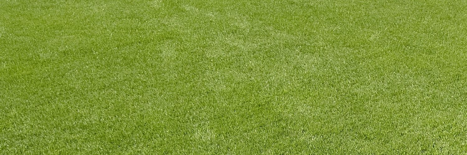 wealivenow's profile banner image