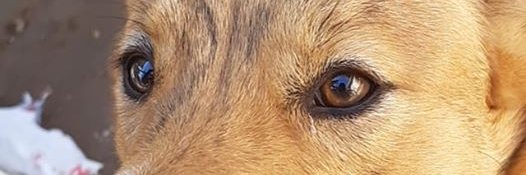 _lpps's profile banner image