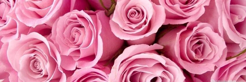 thepinkstorecom's profile banner image