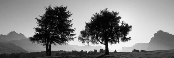 BeahboutIT Profile Banner