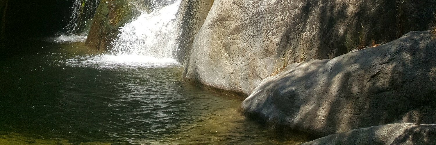 Alicia Sierra Sanche banner