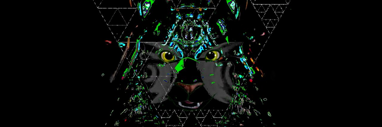Kanubizz's profile banner image