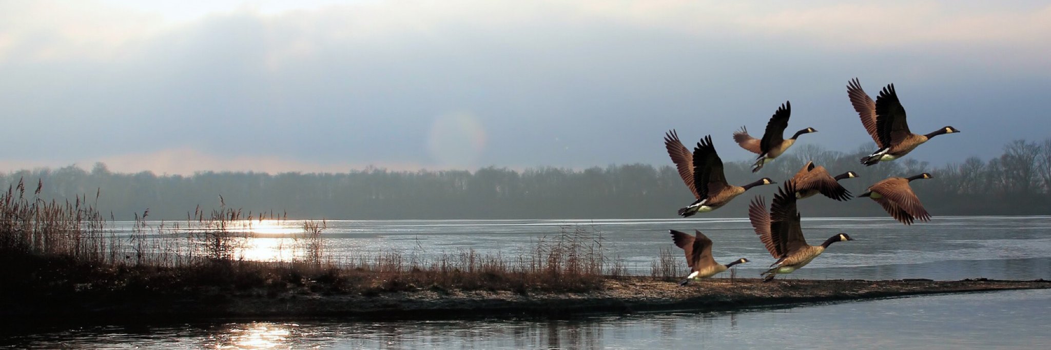 Winyah Rivers Alliance banner