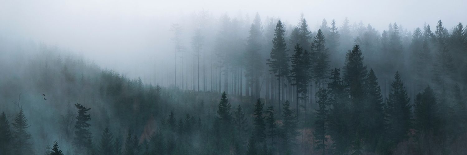 Jānis Siliņš banner