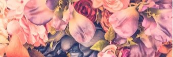 Meeeette's profile banner image