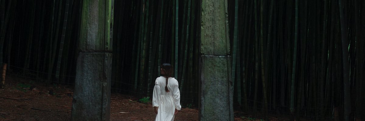 sekaiananda's profile banner image