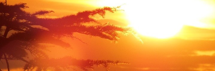 goth_chick33's profile banner image