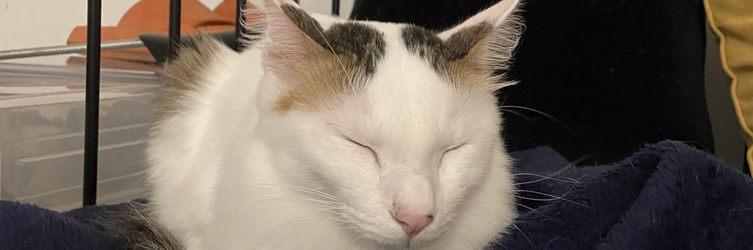 EmirNizz's profile banner image