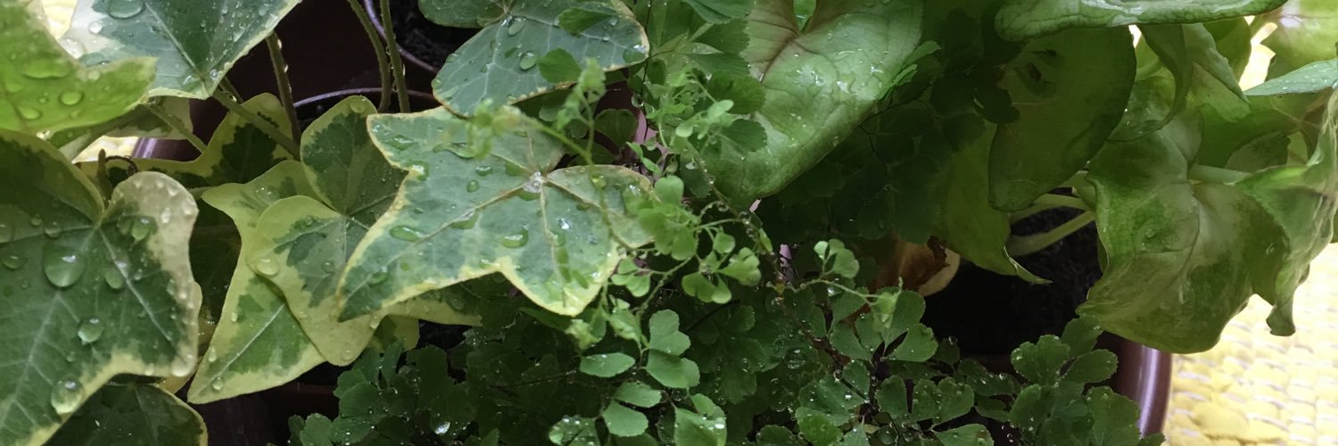 コタク🚖 banner