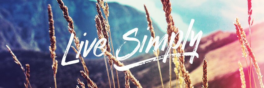 annajolly's profile banner image
