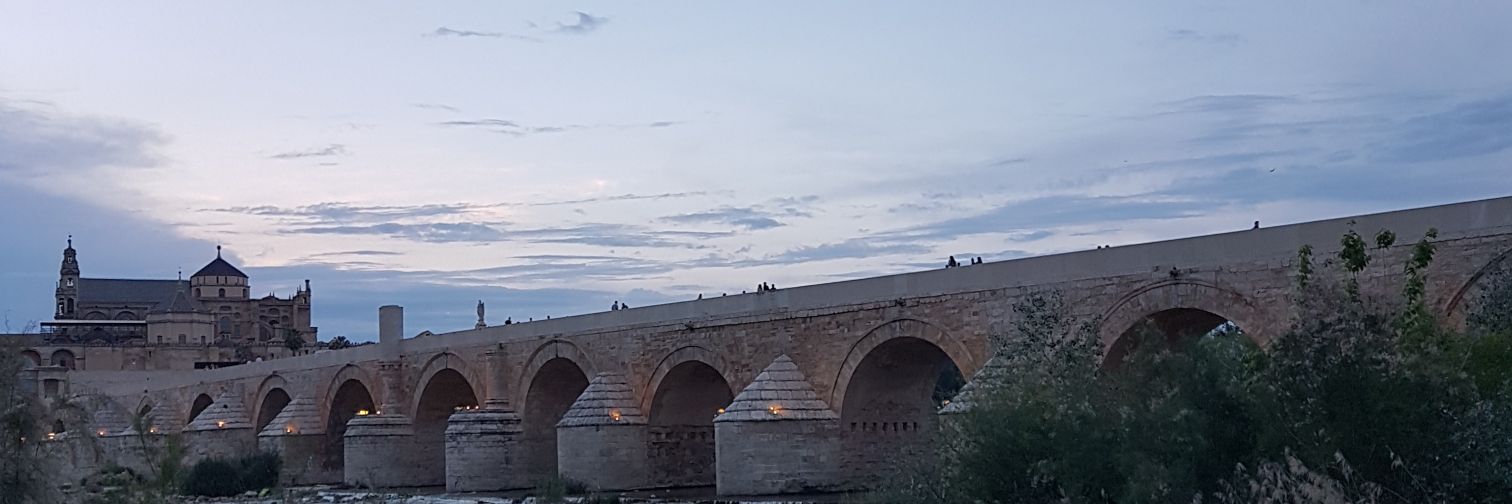 andresback35's profile banner image