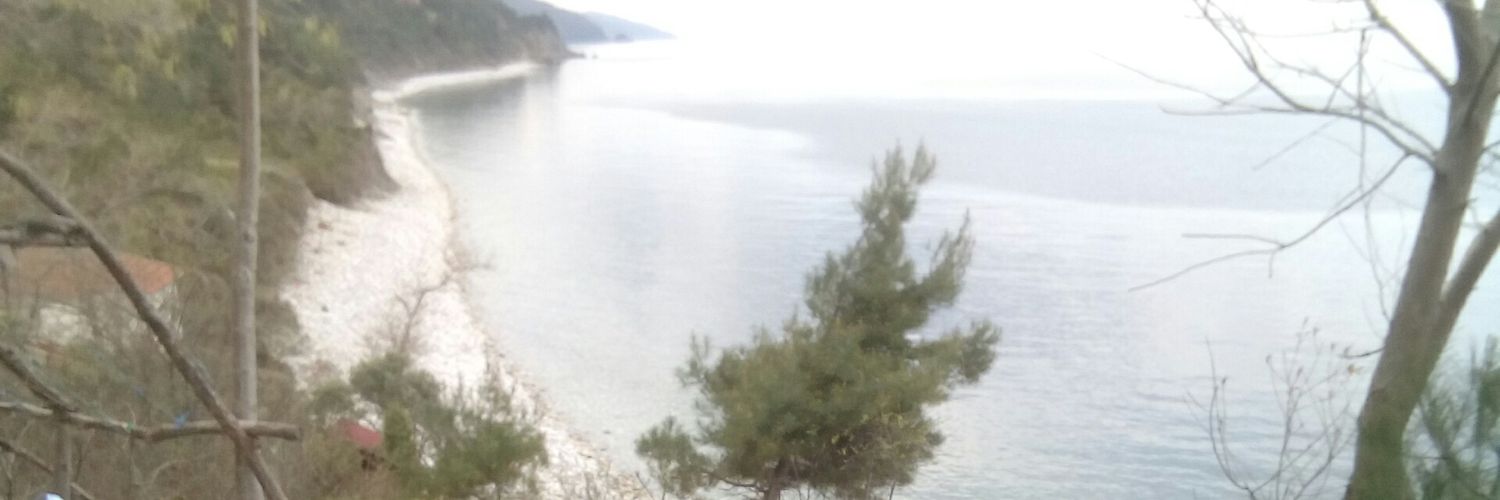 thelesserewil's profile banner image