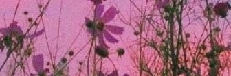 samii792's profile banner image
