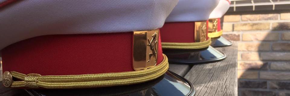 Dice Musica '83 banner