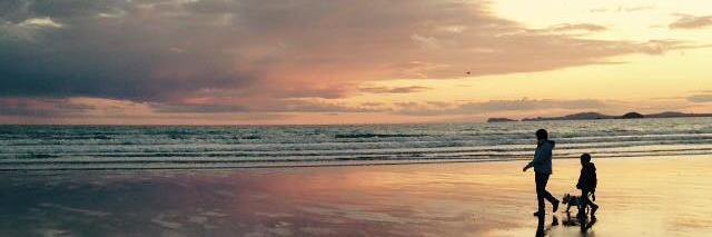 SallyCooperNew's profile banner image