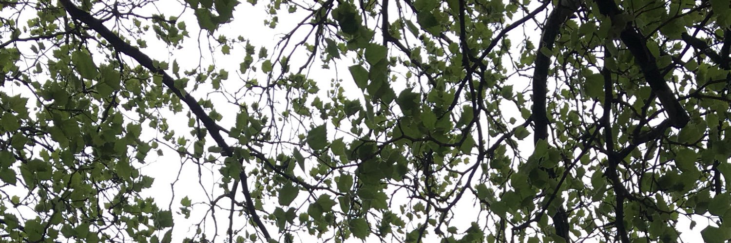 herrhowell's profile banner image