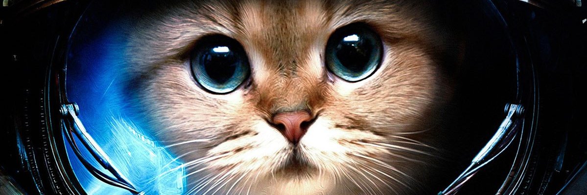 Fuentes_jn's profile banner image