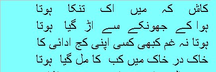 shukrullah74's profile banner image