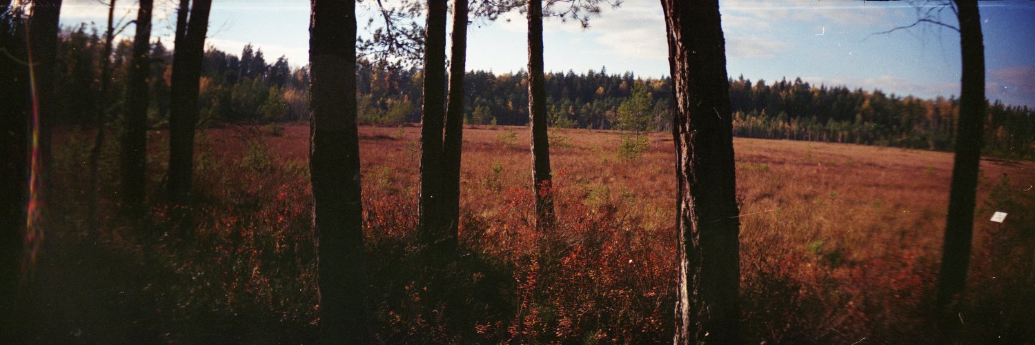 ваш любимый белогвардеец banner