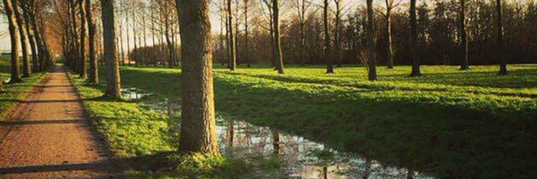 BenneKerver Profile Banner