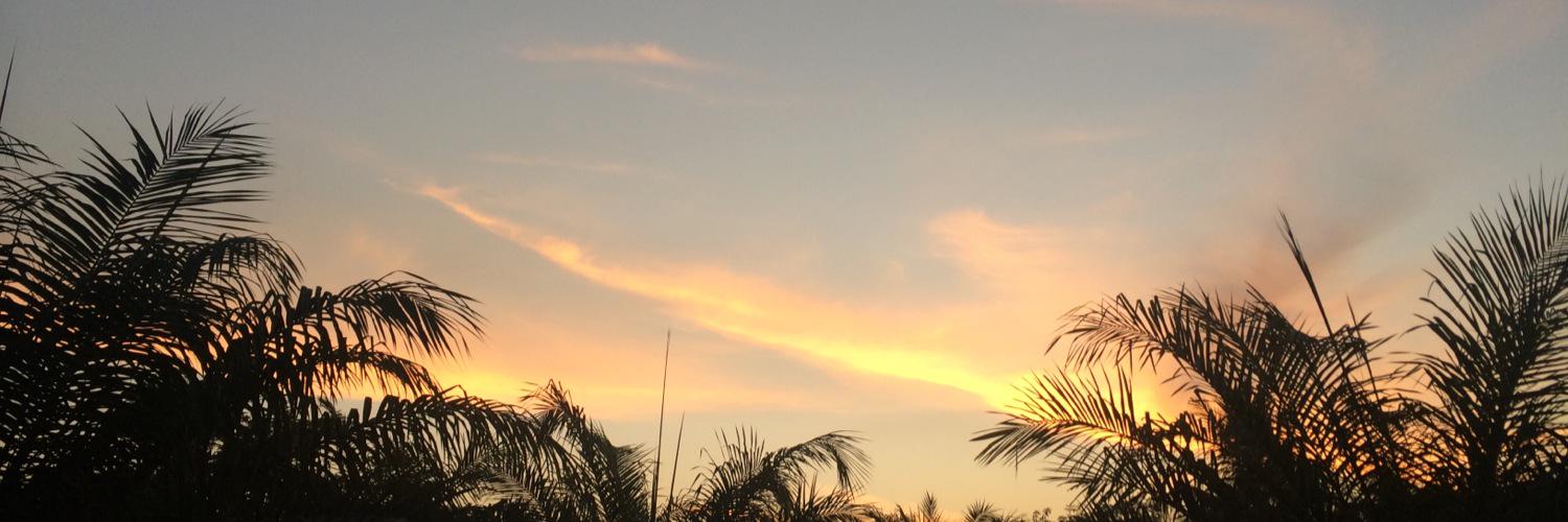 Maoo_Maoo's profile banner image